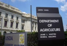 USDA confirma reducción de stock mundial de soja y maíz