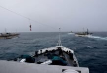 Buques pesqueros chinos tumban proa hacia el mar Argentino luego de depredar la costa Peruana