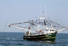 Paraguay tiene derecho a la pesca en el mar, a pesar de ser un país sin litoral marítimo