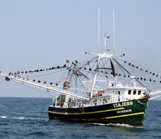 Paraguay tiene derecho a la pesca en el mar, a pesar de ser un país sin litoral marítimo