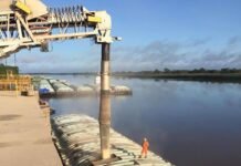 Sector agrícola fue fundamental para paliar efectos del COVID-19 en la economía del país