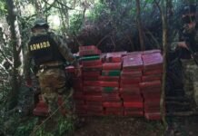 Prefectura Paraguaya detiene a narcos e incautan alrededor de 4mil kilos de marihuana en el Lago Itaipú