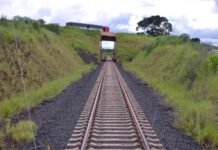 Con estudio de factibilidad ambiental, inicia proyecto de construcción de línea ferroviaria que unirá el Mato Grosso do Sul con el puerto de Paranaguá
