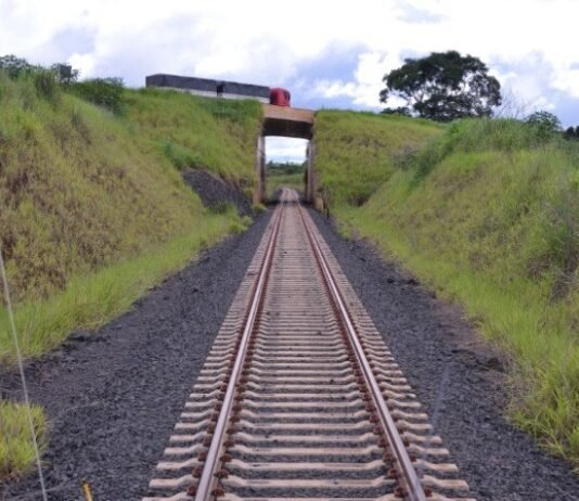 Con estudio de factibilidad ambiental, inicia proyecto de construcción de línea ferroviaria que unirá el Mato Grosso do Sul con el puerto de Paranaguá