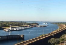 Paraguay logró en el 2020 un récord en las exportaciones de soja con un registro de 6,48 millones de toneladas enviadas