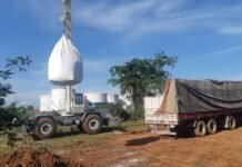 Marina Mercante fiscaliza y abre sumario a dos empresas del sector naviero y portuario