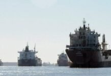 Argentina: Advierten sobre interrupciones en el servicio de amarre en Rosario