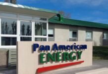 Pan American Energy, S.L., fue adjudicada para proveer a PETROPAR Nafta Virgen, por USD 18 millones