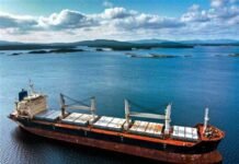 Boom del sector portacontenedor impacta positivamente al transporte marítimo de graneles