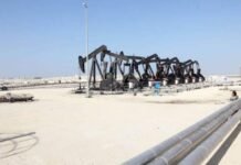 La OPEP y Rusia se frotan las manos ante la inesperada oportunidad para recuperar el control del petróleo