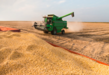 Exportación de soja del primer semestre disminuyó 10% por dificultad de navegabilidad