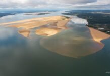 Las causas de la gran bajante del Paraná. Y cómo afecta a las ciudades y a la economía