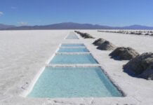 Litio: Argentina tendrá la primera fábrica de celdas y baterías 100% nacionales en La Plata