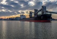 El mejor primer semestre en 8 años para las exportaciones bonaerenses