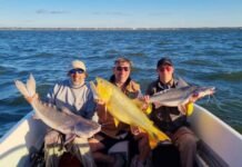 Paso de la Patria: dorados y surubíes que no fallan