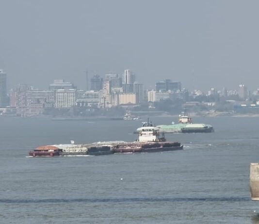 Prefectura Naval Argentina emite ordenanza donde recomienda y aplica restricciones para la navegación debido a la bajante extrema del Paraná CoImagen de Barcos en el Río Paraná