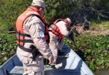 Intensa búsqueda de dos tripulantes desaparecidos en el Paraná