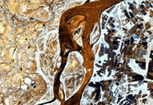 Satélites de Argentina captan la bajante histórica del río Paraná