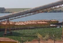 En Brasil, despiden a trabajadores fluviales debido a la bajante extrema y la imposibilidad de navegación