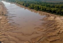 Por la sequía del Río Paraná las perdidas llegaron a 620 millones de dólares en exportaciones