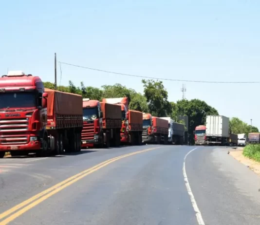 Armadores trabajan en la estrategia de posicionamiento de convoyes para atender carga de soja tras crisis de camioneros
