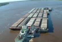 Urgen contar con organismo regulador del transporte para tener competitividad