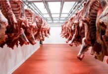 Mercosur: exportaciones de carne a China alcanzaron máximos en agosto