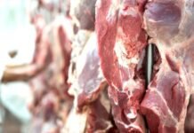 Exportaciones ganaderas ingresaron US$ 1.600 millones hasta septiembre