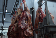 Marruecos se interesa por la importación de productos agropecuarios de Paraguay