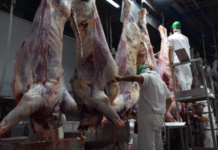Rusia habilitará cuota de 300 mil toneladas de carne libre de arancel para 2022