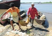 El periodo de veda comienza este lunes