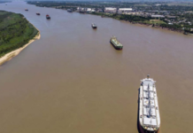 Logística afectó la competitividad de los exportadores de granos y derivados