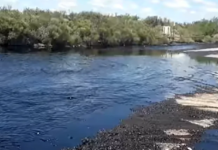 Catástrofe ambiental: se produjo un derrame de petróleo de grandes dimensiones en Río Negro