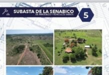 SENABICO prepara subasta de varios inmuebles y vehículos comisados
