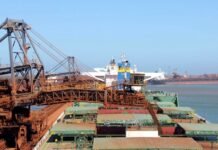 China como importador y Australia y Brasil como exportadores se reparten el mercado del mineral de hierro