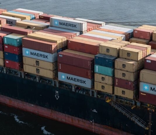 Miles de personas se desplazaban por el mundo en barcos de mercancías. Hasta que llegó la pandemia