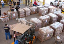 Eficiente esquema de control antinarcótico en Puerto Seguro, logra incautación de cocaína