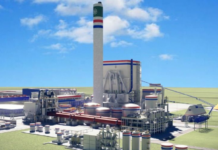 La pastera Paracel mira a Uruguay para sacar su producción de exportación con destino a China