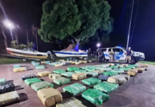 Incautan en Argentina más de 1.600 kilos de marihuana paraguaya