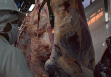 Paraguay caréce de una política de estado que permita apertura de nuevos mercados para la carne