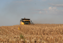 Brasil firma acuerdo con el BID para crédito agrícola por US$ 1.2 mil millones