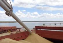 El Gran Rosario fue segundo a nivel mundial en cuanto a toneladas exportadas de cereales y oleaginosas