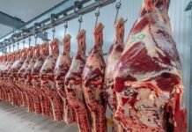 Precio de la carne desalienta la importación de Uruguay: “No hemos podido concretar negocios”