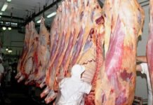 Paraguay suspende totalmente envío de carne a Rusia tras invasión a Ucrania
