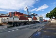 Brasil: Puerto de Itajaí opera con carga de celulosa