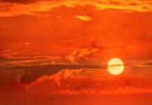 Día de la Tierra: Los últimos 7 años fueron los más calientes