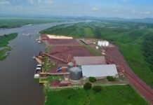 Vale confirma venta de mina en Corumbá, puerto Gregorio Curvo, Granel Química y naviera