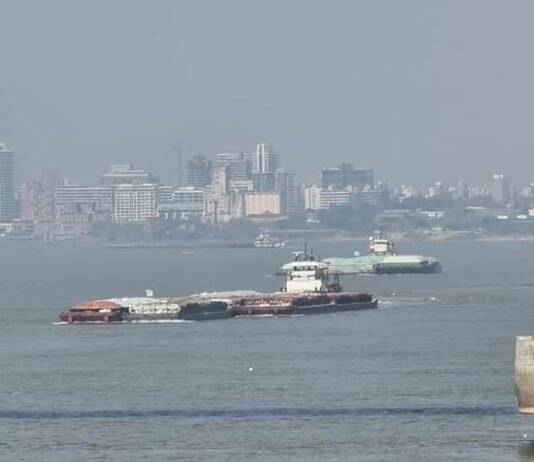 Paraguay reclama una mirada fluvial ante el plan global de descarbonización de la OMI