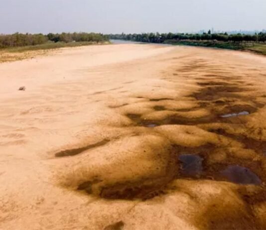 La bajante del río Paraná es “la más persistente en casi 140 años”