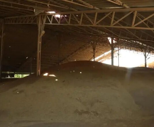 ¿A dónde van los granos producidos en Ucrania?